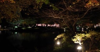 Kış geceleri Tachikawa parkında aydınlatılmış bir Japon bahçesi. Yüksek kalite 4K görüntü. Tokyo 'nun Tachikawa ilçesi Japonya 11.13.2023 Showa kinen parkında geleneksel bir Japon bahçesidir.