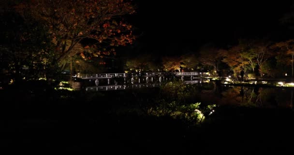 Jardín Japonés Iluminado Parque Tachikawa Durante Las Noches Invierno Imágenes — Vídeo de stock