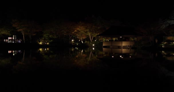 Een Verlichte Japanse Tuin Tachikawa Park Tijdens Winteravonden Hoge Kwaliteit — Stockvideo