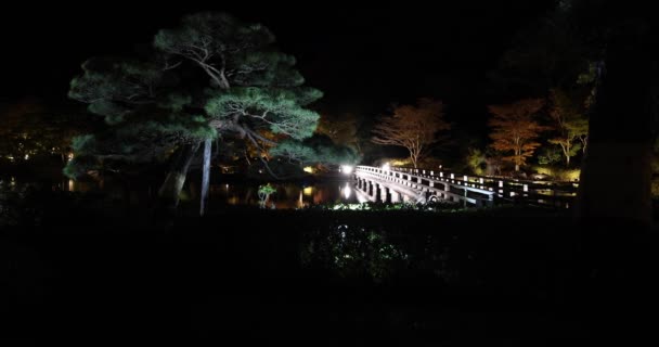 冬夜在川川公园的一个明亮的日本花园 高质量的4K镜头 Tachikawa District Tokyo Japan 2023是日本的一个传统花园 位于日本东京的Showa Kinen公园 — 图库视频影像
