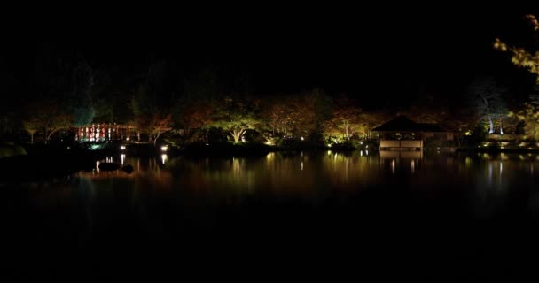 Kış Geceleri Tachikawa Parkında Aydınlatılmış Bir Japon Bahçesi Yüksek Kalite — Stok video