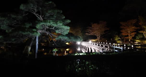 Jardim Japonês Iluminado Parque Tachikawa Durante Noites Inverno Imagens Alta — Vídeo de Stock
