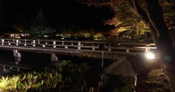 Ein Beleuchteter Japanischer Garten Tachikawa Park Während Der Winternächte Hochwertiges — Stockvideo