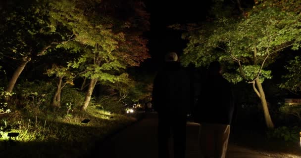Illuminated Japanese Garden Tachikawa Park Winter Nights High Quality Footage — Stock Video