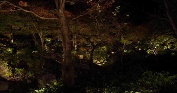 다치카와 공원에 조명된 고품질 다치카와 2023 — 비디오