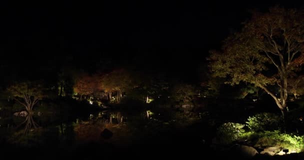 Belyst Japansk Trädgård Tachikawa Park Vinternätterna Högkvalitativ Film Tachikawa District — Stockvideo