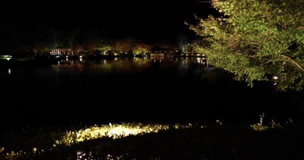 Jardim Japonês Iluminado Parque Tachikawa Durante Noites Inverno Imagens Alta — Vídeo de Stock