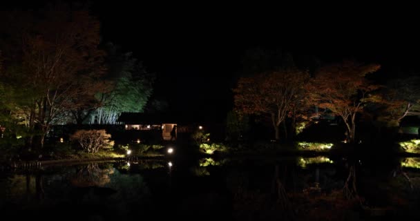 冬の夜に立川公園で照らされた日本庭園 高品質の4K映像を公開しました 東京都立川地区 2023 昭和公園の日本伝統庭園 — ストック動画