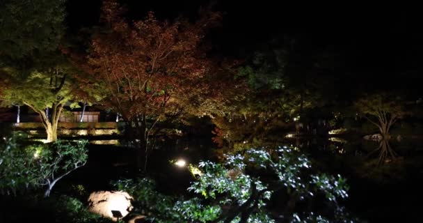 Een Verlichte Japanse Tuin Tachikawa Park Tijdens Winteravonden Hoge Kwaliteit — Stockvideo