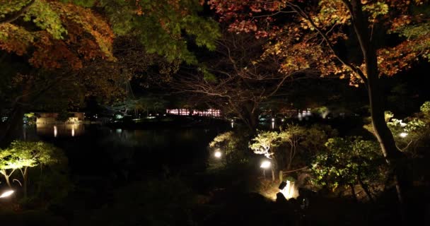 Jardín Japonés Iluminado Parque Tachikawa Durante Las Noches Invierno Imágenes — Vídeo de stock