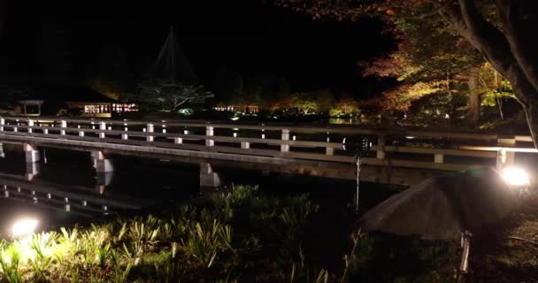 Jardín Japonés Iluminado Parque Tachikawa Durante Las Noches Invierno Imágenes — Vídeos de Stock