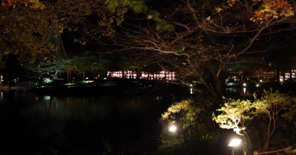 Kış Geceleri Tachikawa Parkında Aydınlatılmış Bir Japon Bahçesi Yüksek Kalite — Stok video