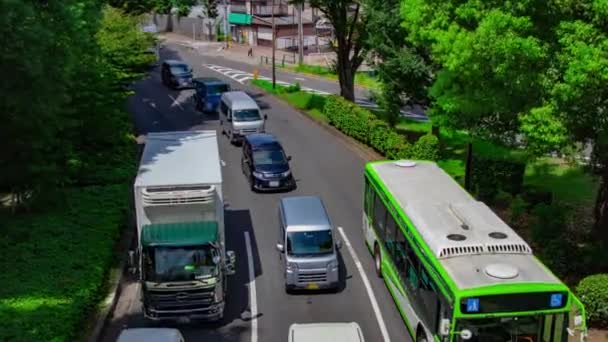 東京高島平のダウンタウンストリートの交通渋滞のタイムラプス 高品質の4K映像を公開しました 東京都板橋地区 東京都の中心地 — ストック動画