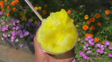 Sol eli güneşli olan buzlu limon şurubu. Yüksek kalite 4K görüntü. Kashiwa bölgesi Chiba Japonya 07.26.2023. Bu tatlılara Japonya 'da Kakigori denir..