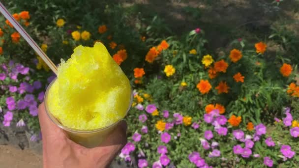 Sebuah Bercukur Sirup Lemon Dengan Tangan Kiri Hari Cerah Dekat — Stok Video