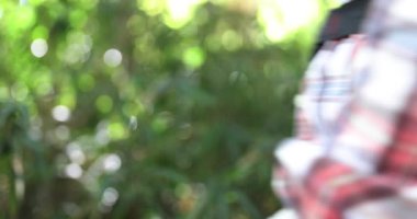 Sonbaharda yeşil ormanda bir ayı çanı. Yüksek kalite 4K görüntü. Nerima bölgesi Tokyo Japonya 11.14.2023. Bu çan, ormanda ayıdan korunmak için bir ürün..