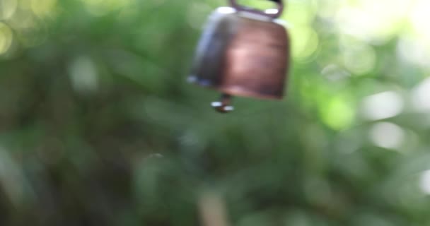 가을에 숲에서 고품질 네리마 2023 숲에서 피하는 제품입니다 — 비디오