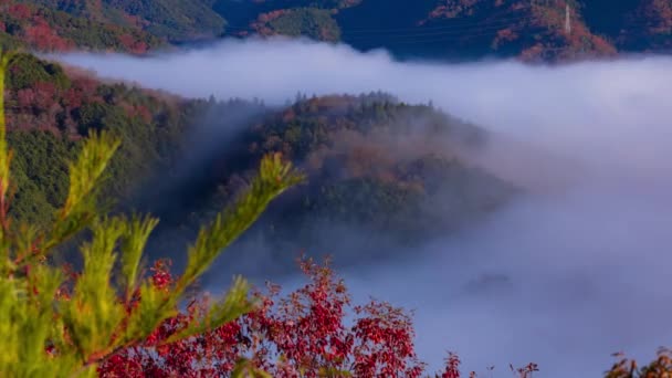Intemporel Mer Nuages Sommet Montagne Kyoto Plan Ensemble Images Haute — Video