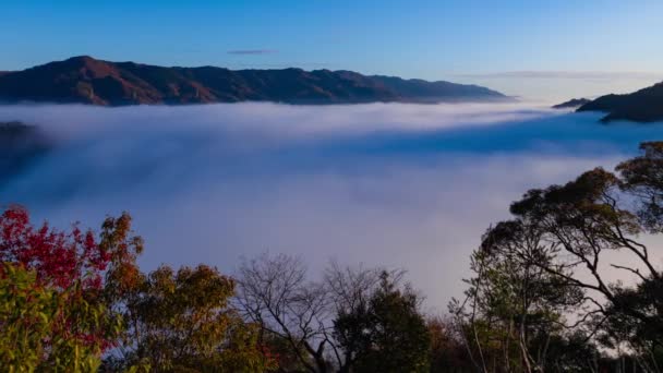 Kyoto Daki Dağın Tepesindeki Bulut Denizinin Zaman Çizelgesi Yüksek Kalite — Stok video