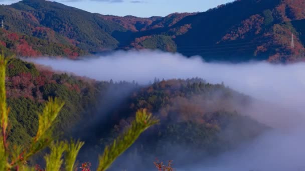 꼭대기에 구름의 바다의 Timelapse 고품질 카사기초 2023 카사기야마 산이라고합니다 — 비디오
