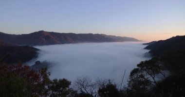 Kyoto 'da dağın tepesinde bir bulut denizi. Yüksek kalite 4K görüntü. Güney bölgesi Kasagicho Kyoto Japonya 12.04.2023 Bu dağ Kyoto 'da Kasagiyama Dağı olarak adlandırılır..