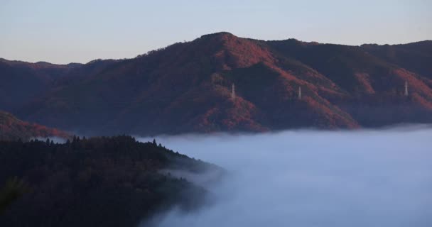 Kyoto Dağın Tepesinde Bir Bulut Denizi Yüksek Kalite Görüntü Güney — Stok video