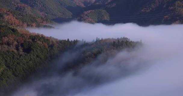 Μια Θάλασσα Από Σύννεφα Στην Κορυφή Του Βουνού Στο Κιότο — Αρχείο Βίντεο