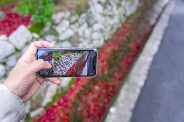 Sonbaharda bir akıllı telefon çatışması dar bir olukta kırmızı yaprakları yığdı. Yüksek kalite fotoğraf. Sakyo ku Kyoto Japonya 12.01.2023. Sonbaharda Japon geleneksel bölgesinde kırmızı yapraklar.. 