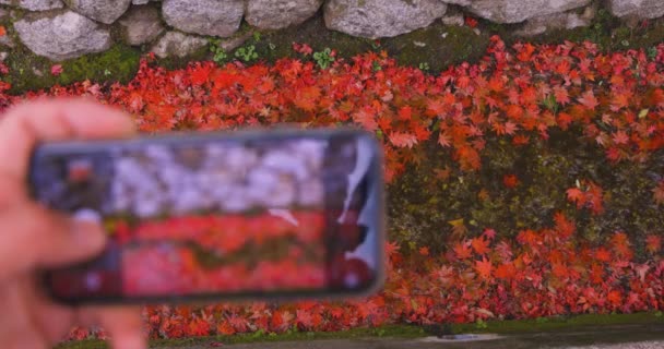在狭窄的沟渠里堆满了红叶 Sakyo Kyoto Japan 2023 高质量的4K片断是秋天日本传统地区的红叶 — 图库视频影像