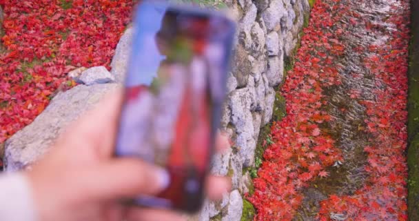 Herbst Häuften Sich Die Roten Blätter Der Engen Rinne Sakyo — Stockvideo