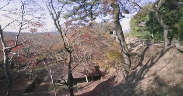 Vörös Levelek Kiotói Parkban Ősszel Kiváló Minőségű Felvétel Kiváló Minőségű — Stock videók