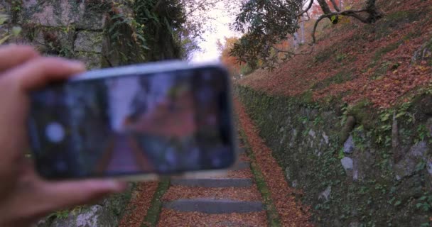 Ένα Smartphone Πυροβολεί Κόκκινα Φύλλα Στο Πάρκο Kasachiyama Momiji Στο — Αρχείο Βίντεο
