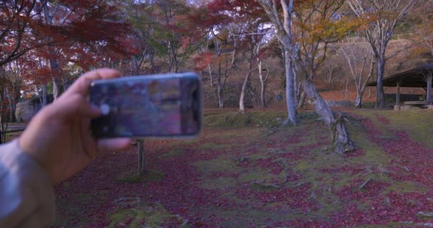 Uno Smartphone Spara Foglie Rosse Parco Kasachiyama Momiji Kyoto Filmati — Video Stock