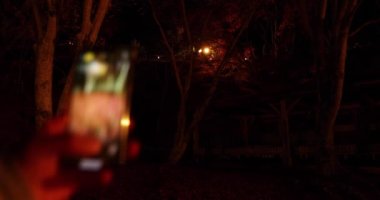 Sonbaharda Kyoto 'daki parkta yanan kırmızı yapraklar. Yüksek kalite 4K görüntü. Yüksek kalite fotoğraf. Soura bölgesi Kasagi Kyoto Japonya 11.30. 2023 Burası Kasagiyama Momiji Parkı olarak bilinen bir park.