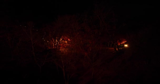Осенью Парке Киото Светятся Красные Листья Высококачественные Кадры Высококачественное Фото — стоковое видео