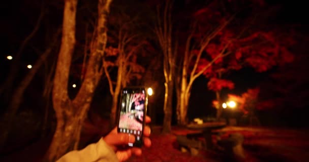 Ett Upplyst Rött Löv Parken Kyoto Hösten Högkvalitativ Film Högkvalitativt — Stockvideo
