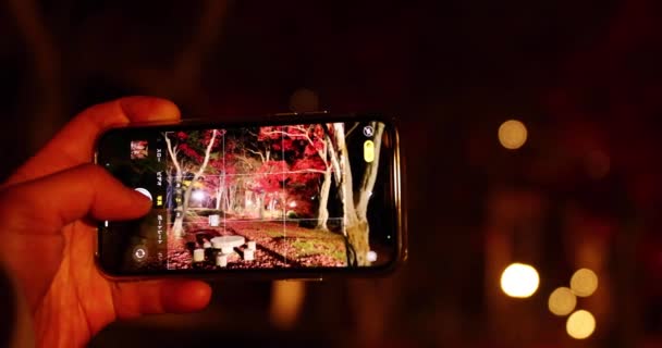 Vermelho Iluminado Sai Parque Kyoto Outono Imagens Alta Qualidade Foto — Vídeo de Stock