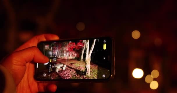 秋に京都の公園で照らされた紅葉 高品質の4K映像を公開しました 高品質の写真 春木京都11 2023 春山マジジーパークとして知られる公園 — ストック動画