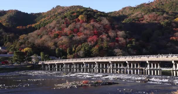 Міст Тунцюкьо Біля Річки Кацураґава Кіото Високоякісні Кадри Кіото Район — стокове відео