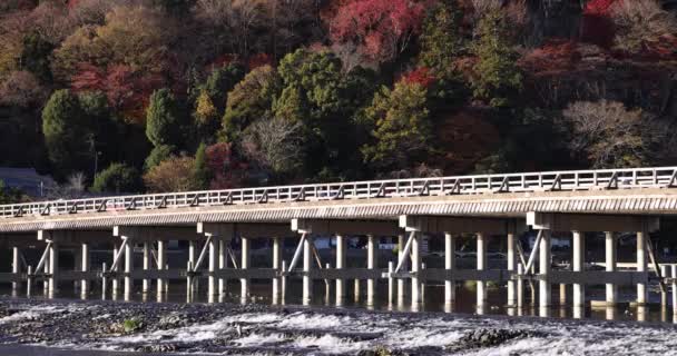교토의 카츠라가와 근처의 토게츠쿄 고품질 Ukyo Kyoto Japan 2023 교토의 — 비디오