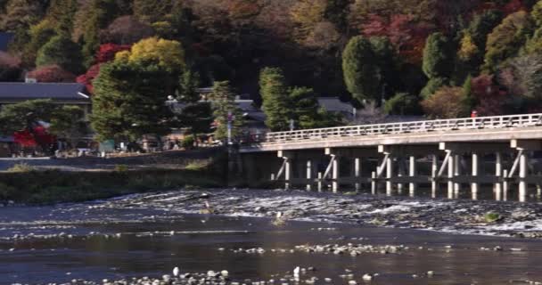 Ponte Togetsukyo Vicino Fiume Katsuragawa Kyoto Filmati Alta Qualità Distretto — Video Stock