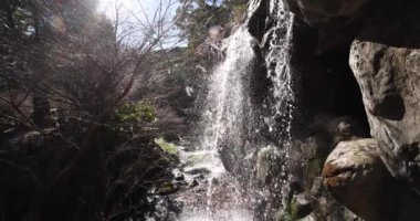 Shizuoka 'daki Atami Pum Parkı' nda şelale. Yüksek kalite 4K görüntü. Atami bölgesi Shizuoka Japonya 01.25.2023 Burası Shizuoka 'da bir erik parkı..