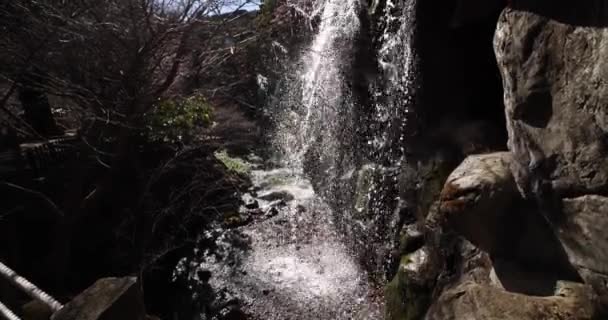 Cachoeira Parque Ameixas Atami Shizuoka Durante Dia Imagens Alta Qualidade — Vídeo de Stock