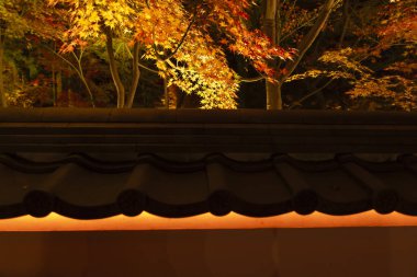 Sonbaharda geniş açılı çekimde geleneksel bahçedeki kırmızı yapraklar aydınlatılıyor. Yüksek kalite fotoğraf. Sakyo bölgesi Kyoto Japonya 11.29.2023