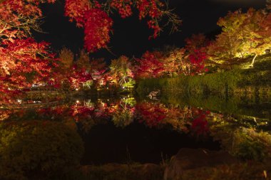 Aydınlatılmış kırmızı yapraklar geleneksel bahçedeki suya yansıyor. Yüksek kalite fotoğraf. Sakyo bölgesi Kyoto Japonya 11.29.2023