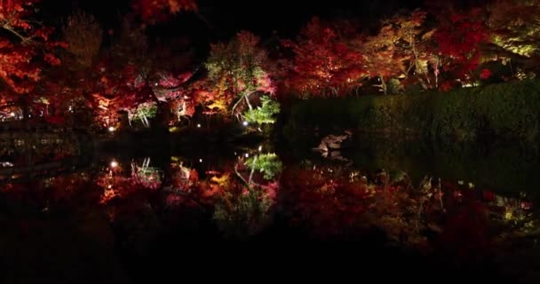 Осенью Светящиеся Красные Листья Высококачественные Кадры Район Сакио Киото Япония — стоковое видео