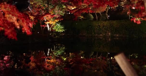 Rojo Iluminado Sale Por Noche Otoño Imágenes Alta Calidad Distrito — Vídeos de Stock
