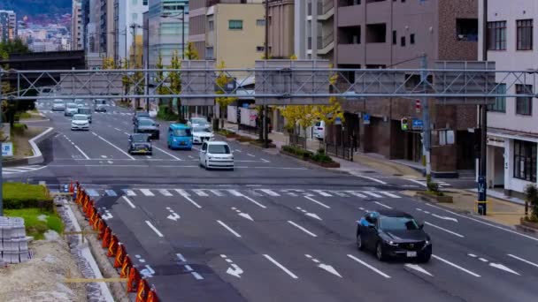교토의 도로에서 체증의 고품질 시모쿄 2023 Horikawagojo 교차로 — 비디오