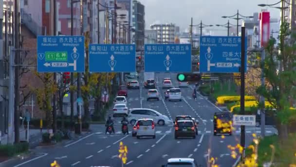 Susseguirsi Ingorghi Nel Grande Viale Kyoto Filmati Alta Qualità Distretto — Video Stock