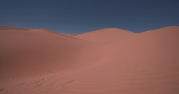 Sanddyn Saharaöknen Vid Mhamid Ghizlane Marocko Högkvalitativ Film Zagora Distriktet — Stockvideo